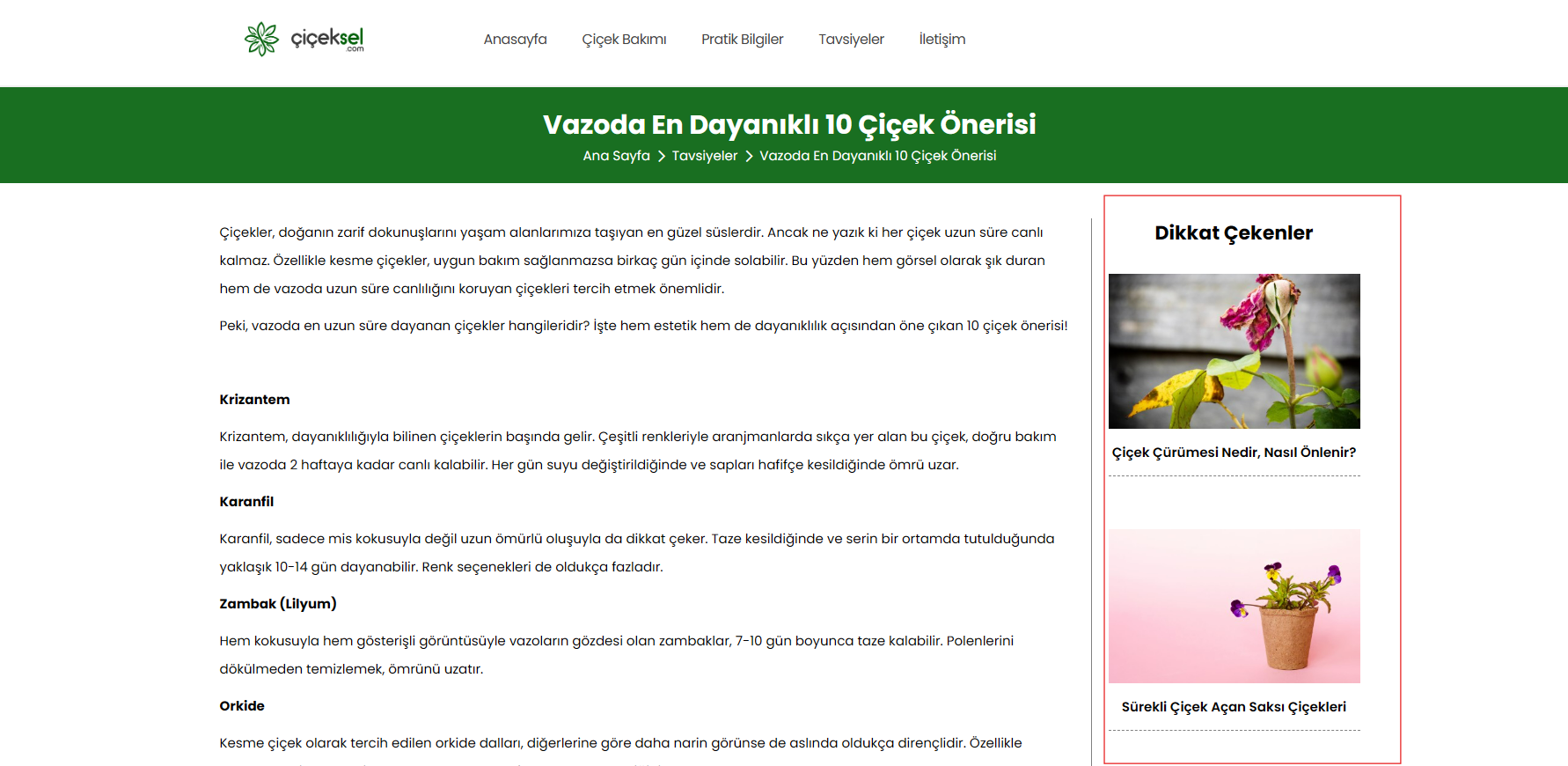 ilgili-urunler-site-ici-linkleme