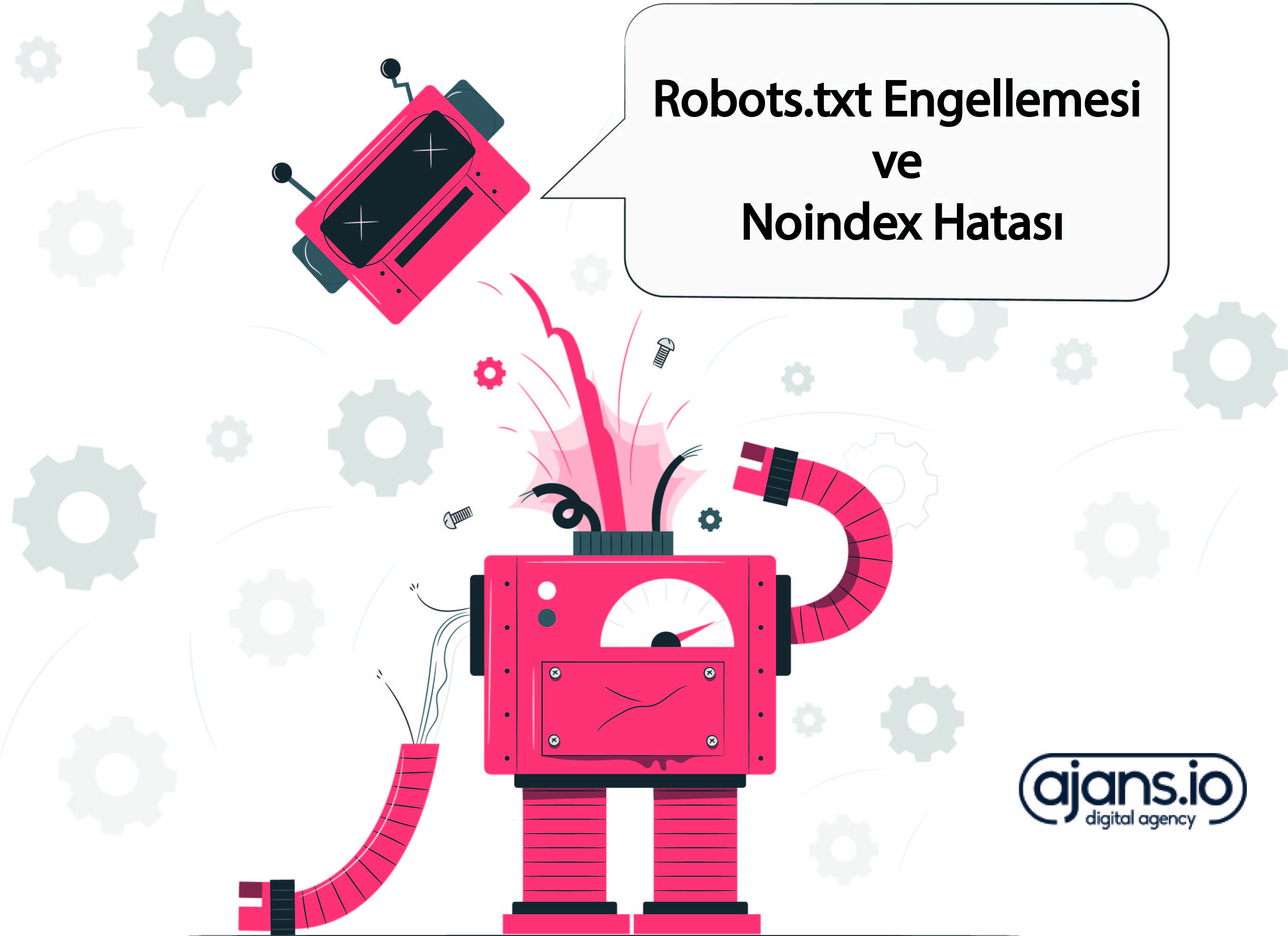 Robots.txt Engellemesi ve Noindex Hatası